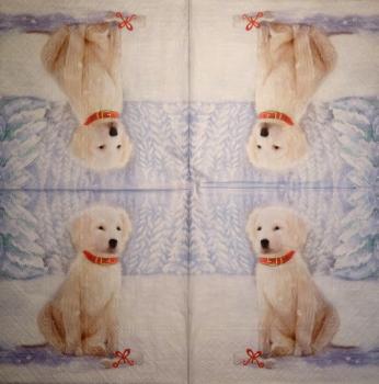 HUN-329 Hunde - 3-lagig - Paw